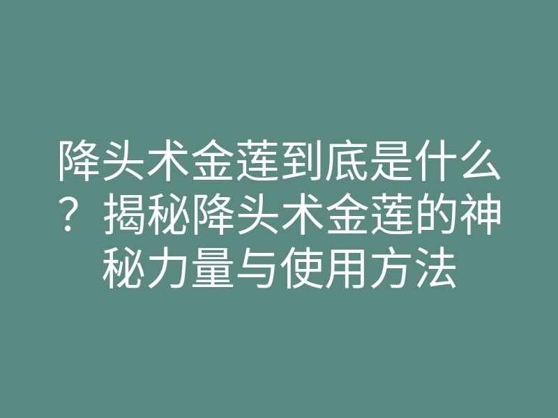 降头术金莲到底是什么?揭秘降头术金莲的神秘力量与使用方法