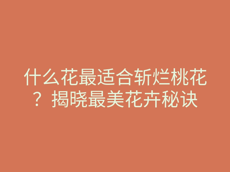 什么花最适合斩烂桃花?揭晓最美花卉秘诀