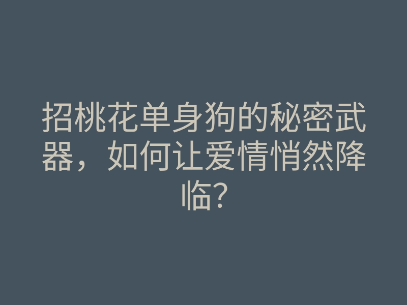 招桃花单身狗的秘密武器,如何让爱情悄然降临?