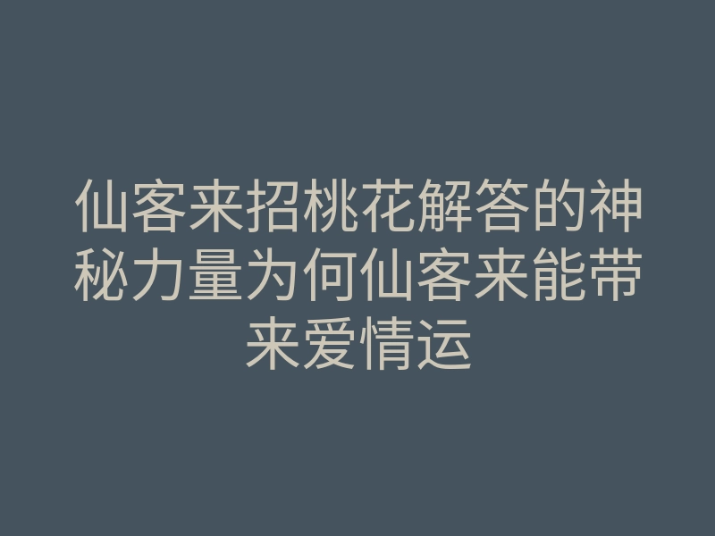 仙客来招桃花解答的神秘力量为何仙客来能带来爱情运