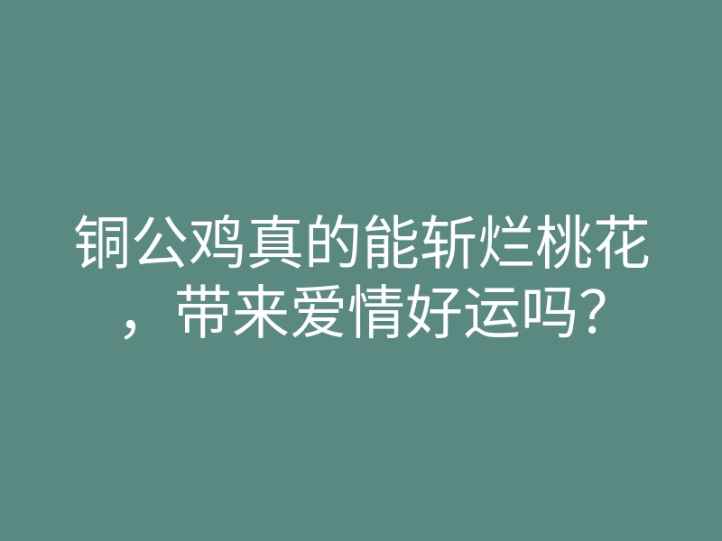 铜公鸡真的能斩烂桃花,带来爱情好运吗?