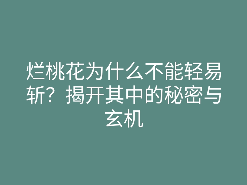 烂桃花为什么不能轻易斩?揭开其中的秘密与玄机