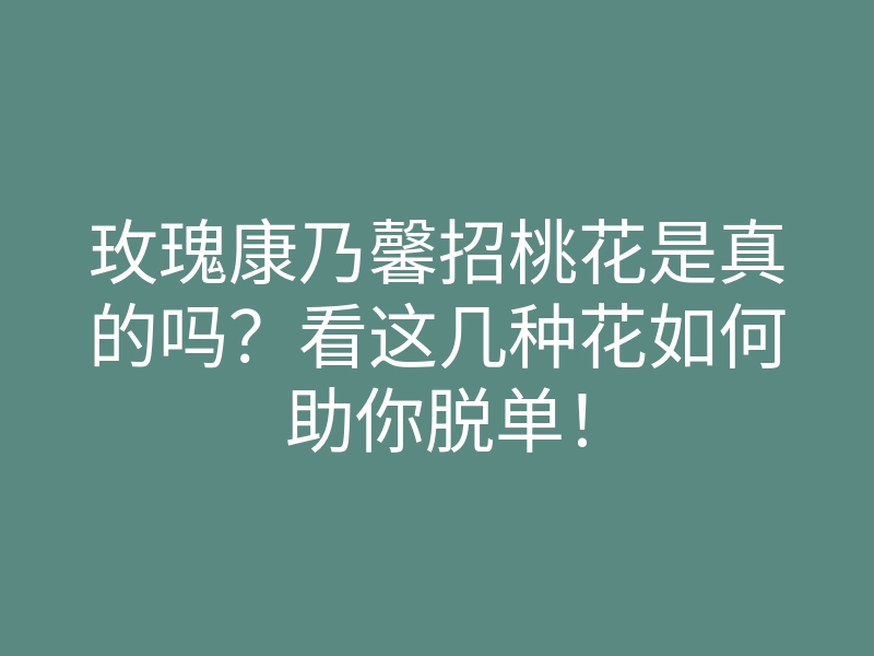 玫瑰康乃馨招桃花是真的吗?看这几种花如何助你脱单!
