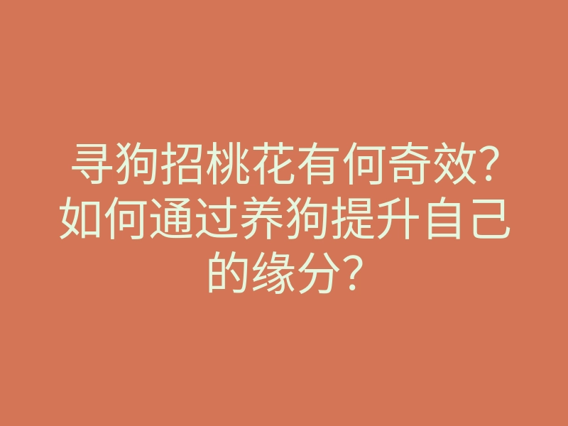 寻狗招桃花有何奇效?如何通过养狗提升自己的缘分?