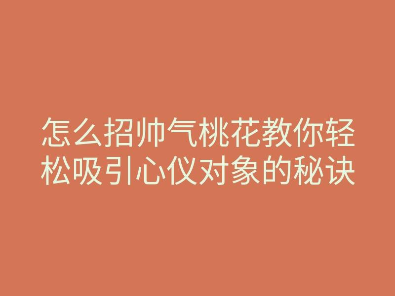 怎么招帅气桃花教你轻松吸引心仪对象的秘诀