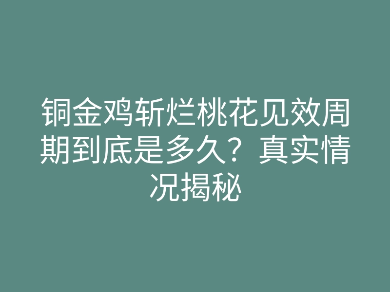 铜金鸡斩烂桃花见效周期到底是多久?真实情况揭秘