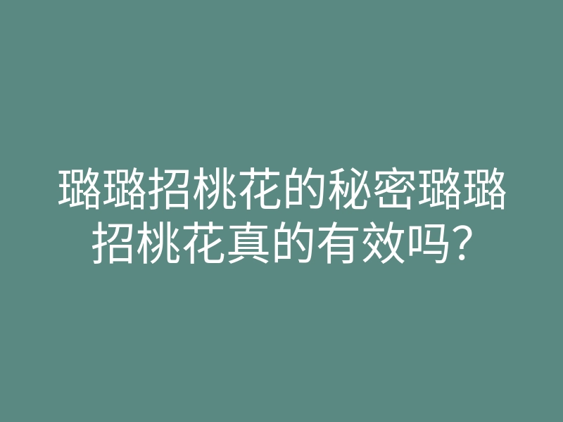 璐璐招桃花的秘密璐璐招桃花真的有效吗?