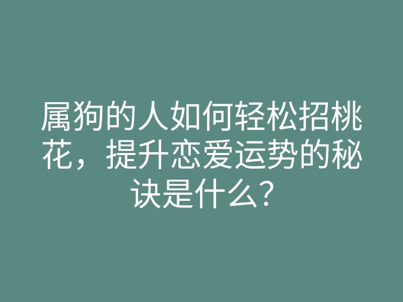 属狗的人如何轻松招桃花，提升恋爱运势的秘诀是什么？