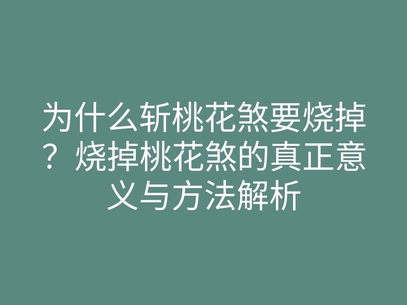 为什么斩桃花煞要烧掉?烧掉桃花煞的真正意义与方法解析