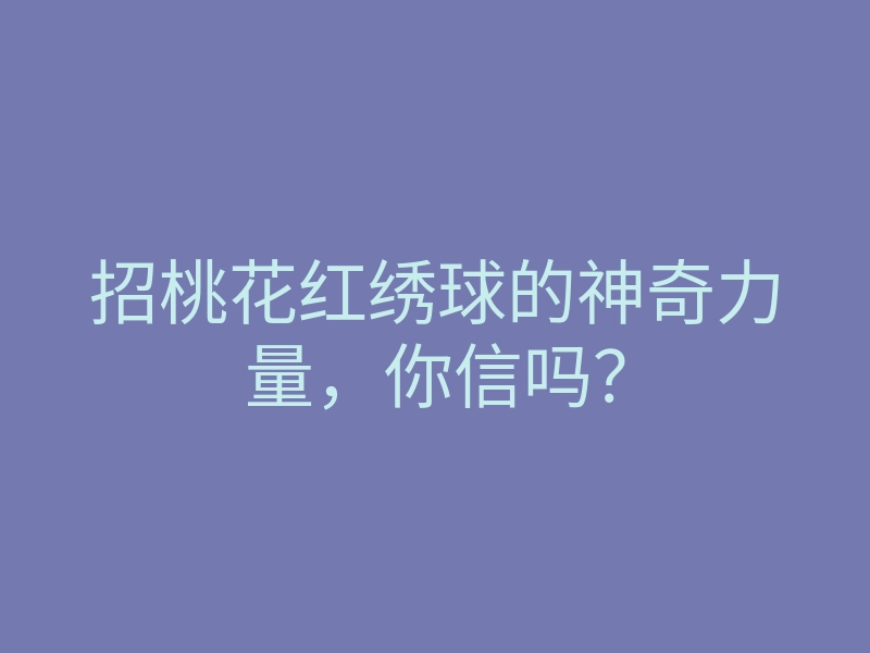 招桃花红绣球的神奇力量，你信吗？