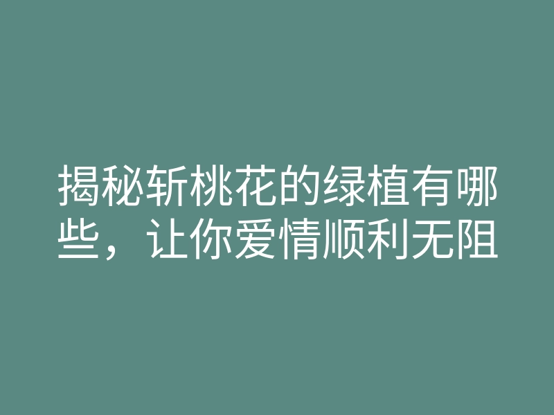 揭秘斩桃花的绿植有哪些,让你爱情顺利无阻