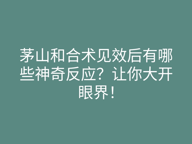 茅山和合术见效后有哪些神奇反应?让你大开眼界!