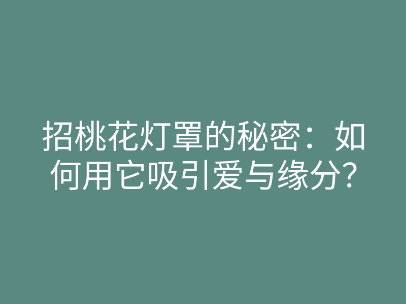 招桃花灯罩的秘密:如何用它吸引爱与缘分?