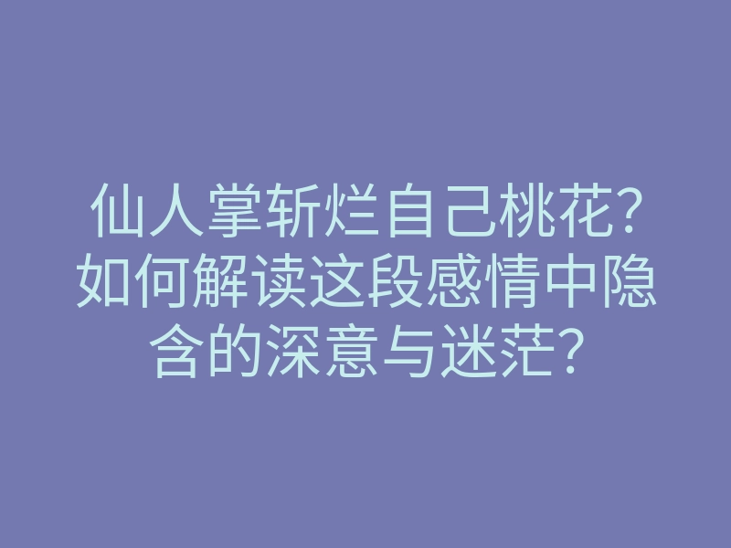 仙人掌斩烂自己桃花?如何解读这段感情中隐含的深意与迷茫?