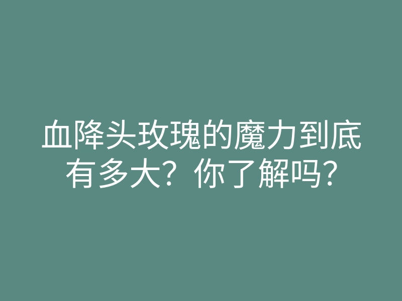 血降头玫瑰的魔力到底有多大?你了解吗?