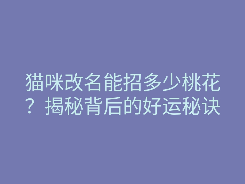 猫咪改名能招多少桃花?揭秘背后的好运秘诀