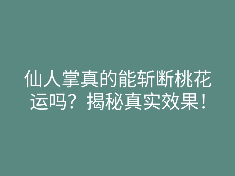 仙人掌真的能斩断桃花运吗?揭秘真实效果!
