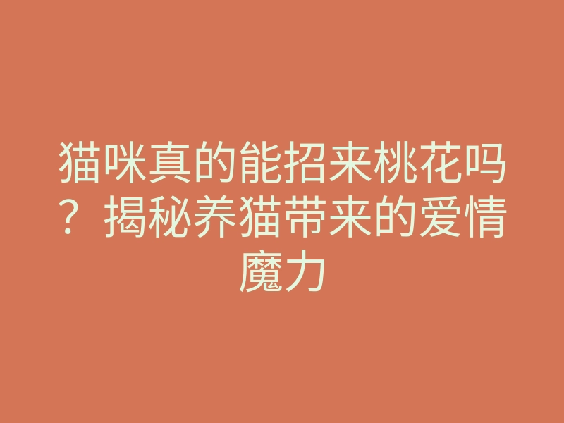 猫咪真的能招来桃花吗?揭秘养猫带来的爱情魔力