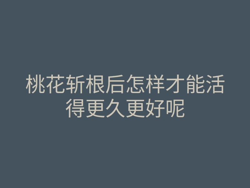 桃花斩根后怎样才能活得更久更好呢