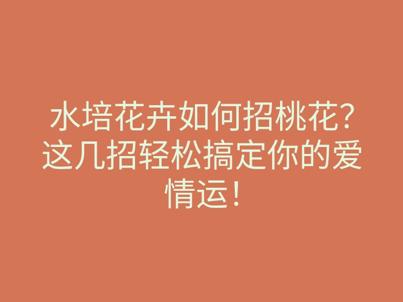 水培花卉如何招桃花?这几招轻松搞定你的爱情运!