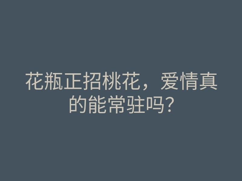 花瓶正招桃花,爱情真的能常驻吗?