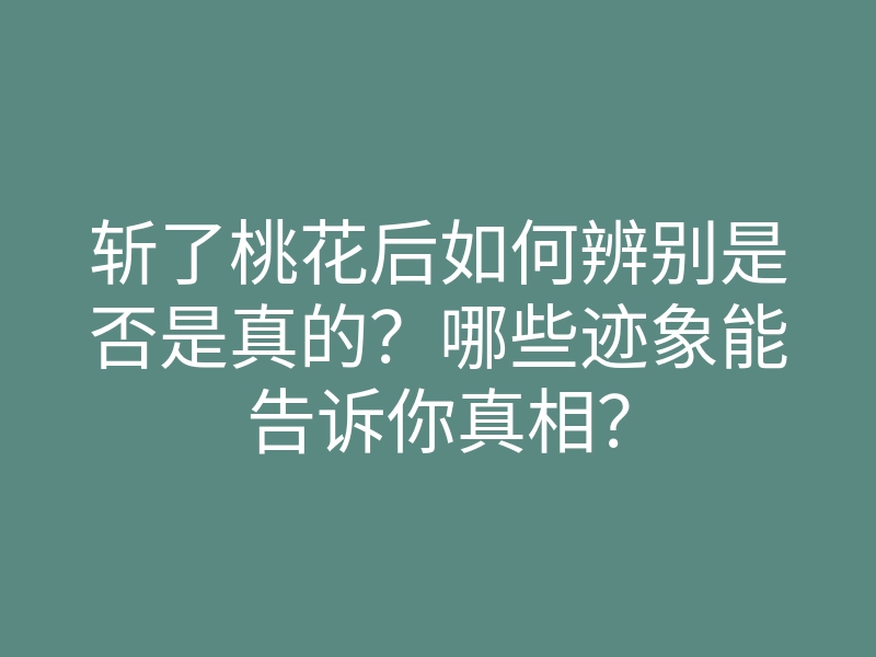 斩了桃花后如何辨别是否是真的？哪些迹象能告诉你真相？