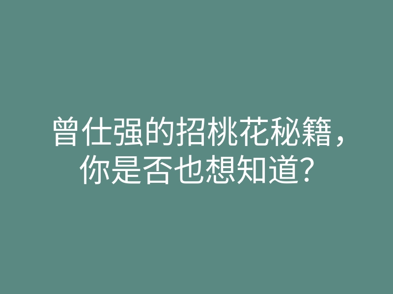 曾仕强的招桃花秘籍,你是否也想知道?