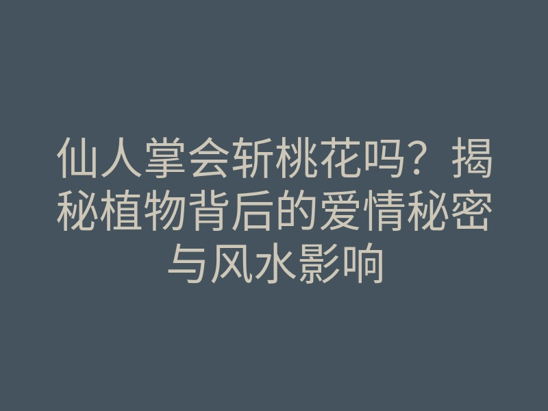 仙人掌会斩桃花吗?揭秘植物背后的爱情秘密与风水影响