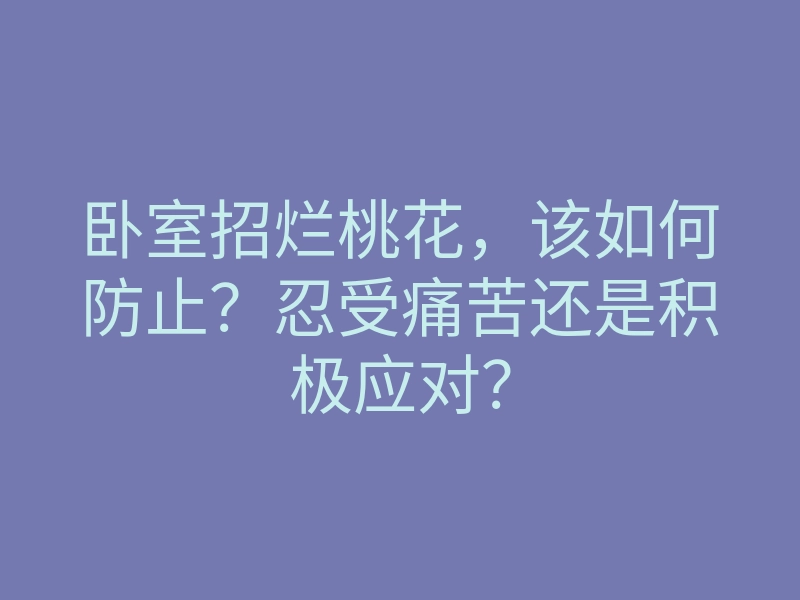 卧室招烂桃花,该如何防止?忍受痛苦还是积极应对?