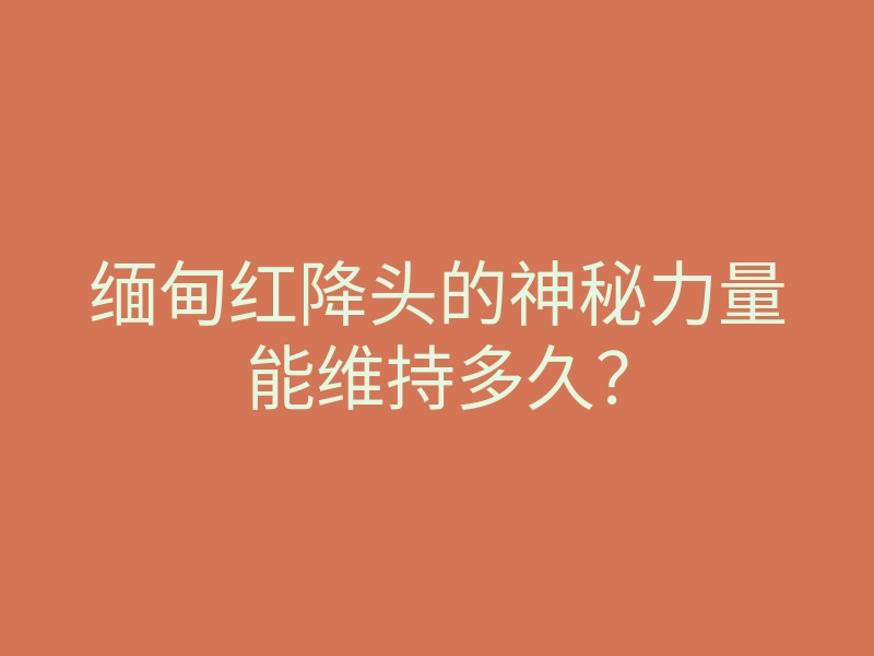 缅甸红降头的神秘力量能维持多久?