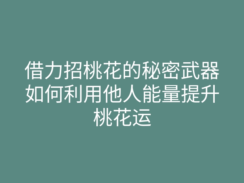 借力招桃花的秘密武器如何利用他人能量提升桃花运