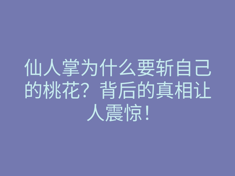 仙人掌为什么要斩自己的桃花?背后的真相让人震惊!