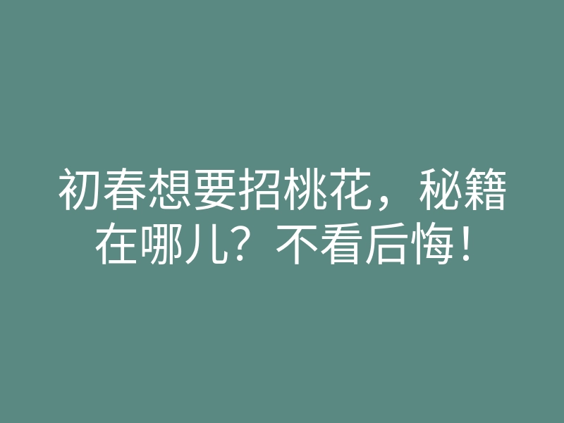 初春想要招桃花,秘籍在哪儿?不看后悔!