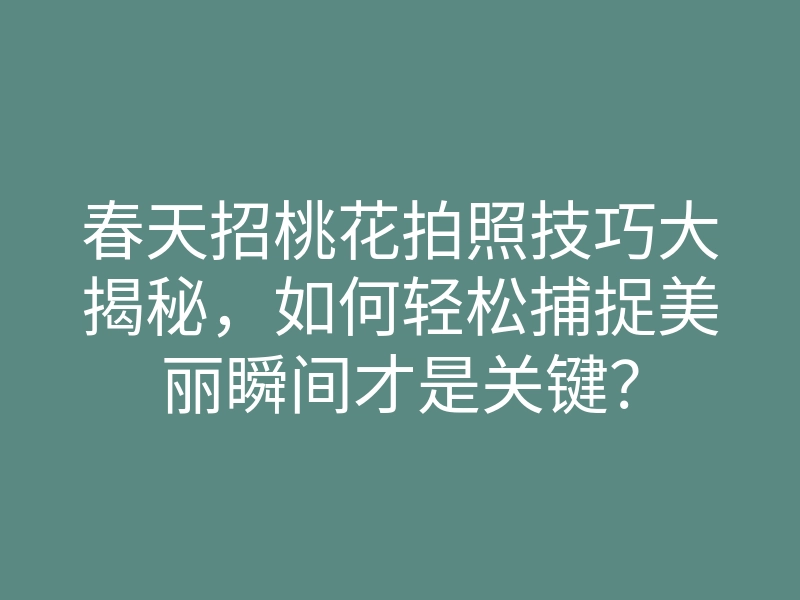 春天招桃花拍照技巧大揭秘,如何轻松捕捉美丽瞬间才是关键?