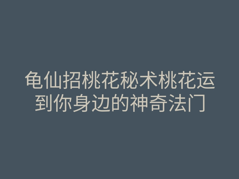 龟仙招桃花秘术桃花运到你身边的神奇法门