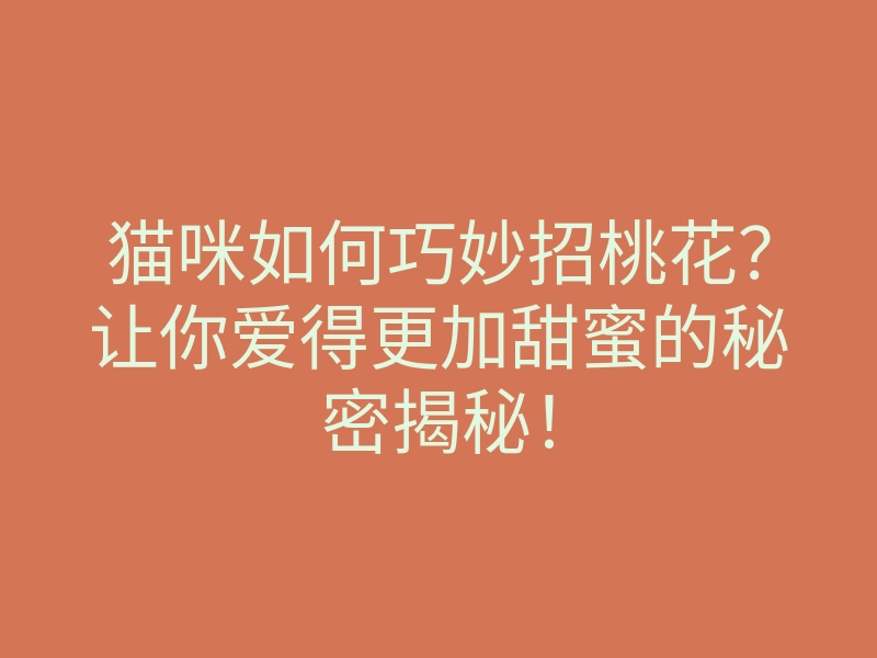 猫咪如何巧妙招桃花?让你爱得更加甜蜜的秘密揭秘!