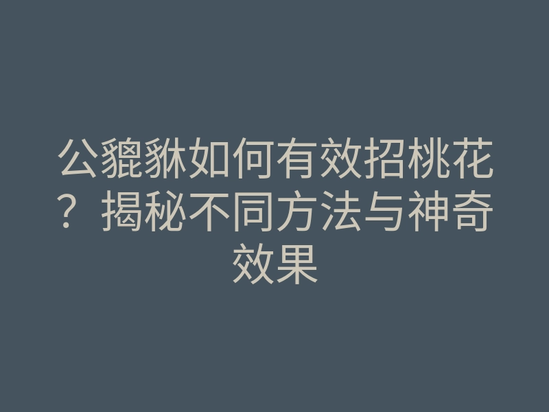 公貔貅如何有效招桃花?揭秘不同方法与神奇效果