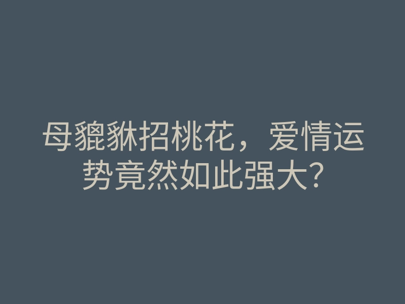 母貔貅招桃花,爱情运势竟然如此强大?