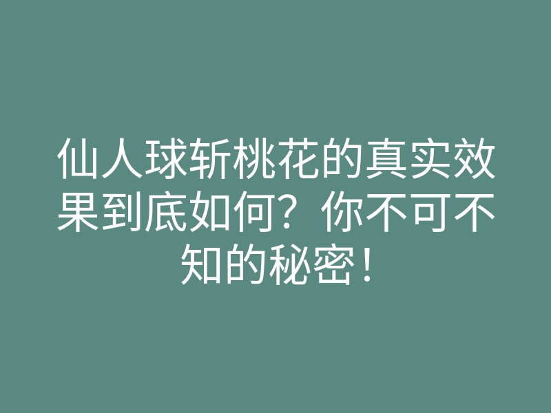 仙人球斩桃花的真实效果到底如何?你不可不知的秘密!