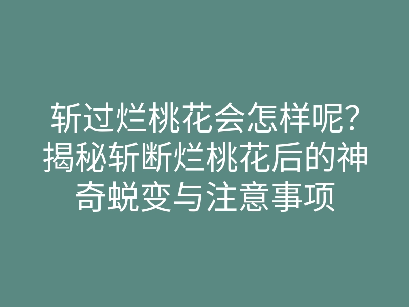 斩过烂桃花会怎样呢?揭秘斩断烂桃花后的神奇蜕变与注意事项