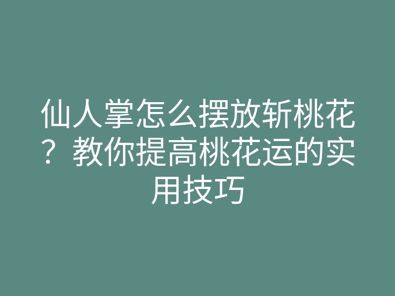 仙人掌怎么摆放斩桃花?教你提高桃花运的实用技巧