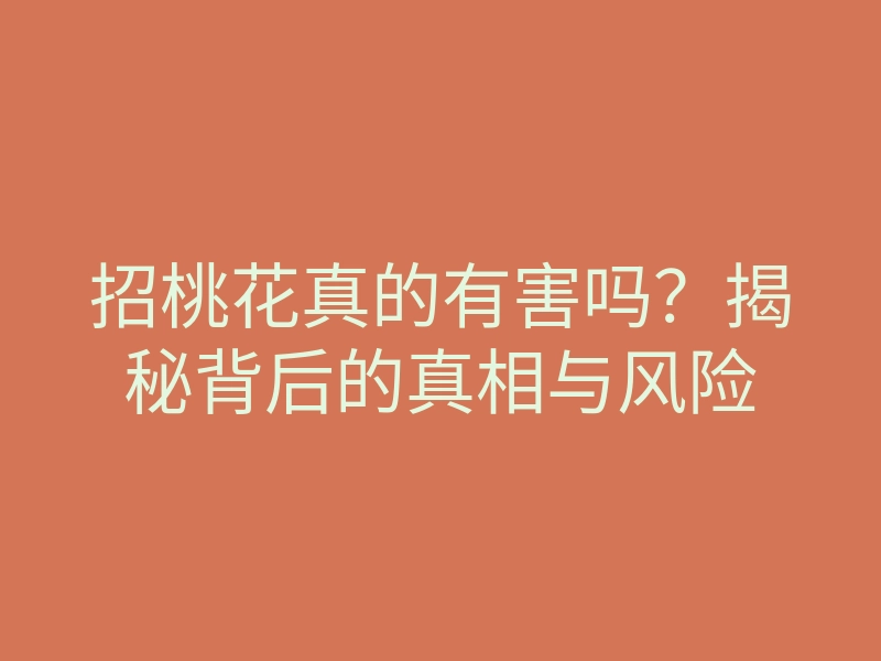 招桃花真的有害吗?揭秘背后的真相与风险
