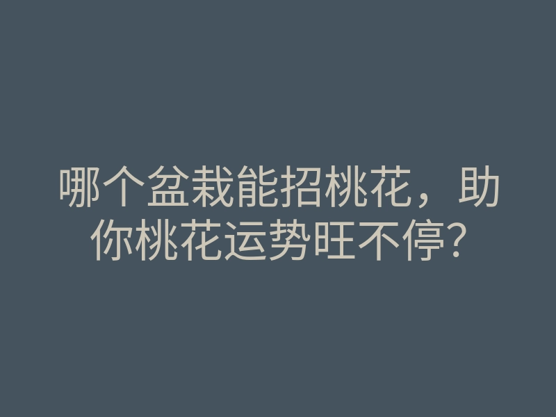 哪个盆栽能招桃花,助你桃花运势旺不停?