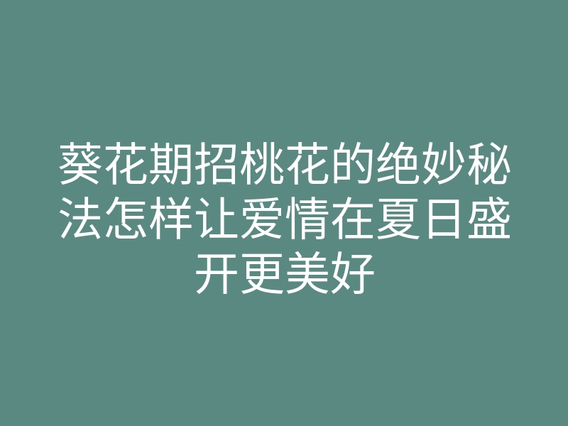 葵花期招桃花的绝妙秘法怎样让爱情在夏日盛开更美好