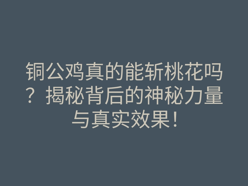 铜公鸡真的能斩桃花吗?揭秘背后的神秘力量与真实效果!