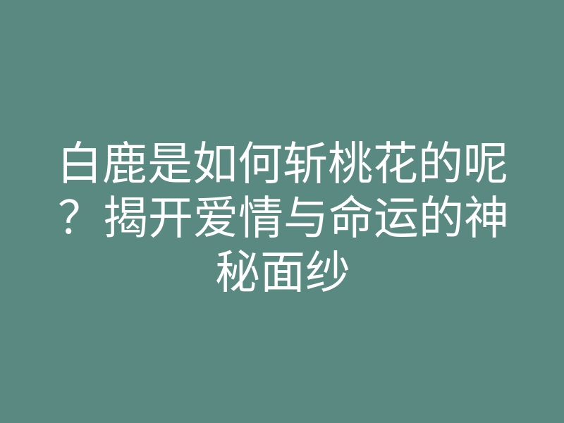 白鹿是如何斩桃花的呢?揭开爱情与命运的神秘面纱