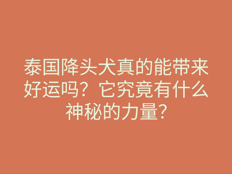 泰国降头犬真的能带来好运吗?它究竟有什么神秘的力量?