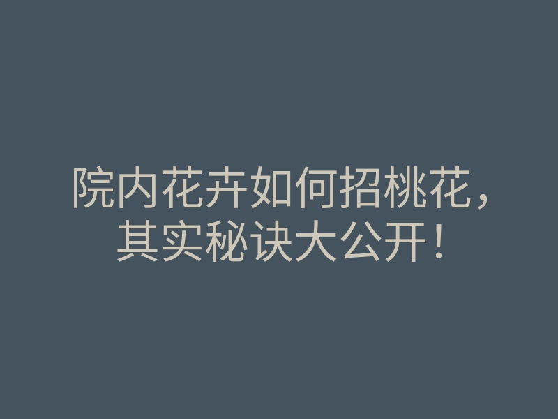 院内花卉如何招桃花,其实秘诀大公开!