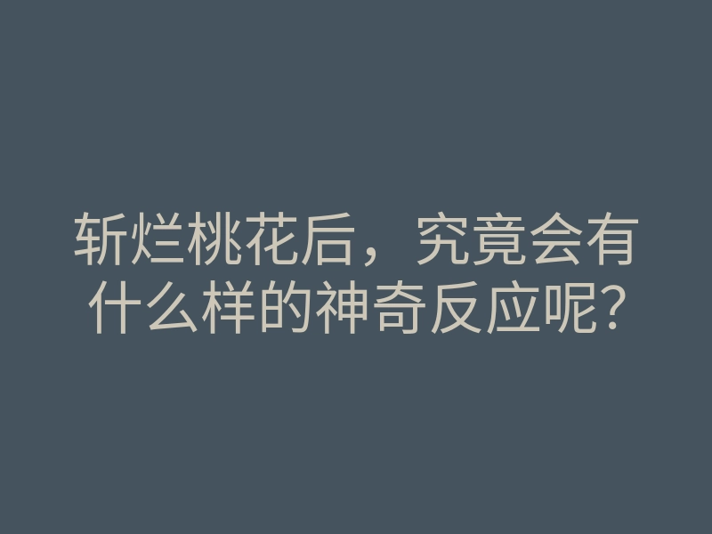斩烂桃花后,究竟会有什么样的神奇反应呢?
