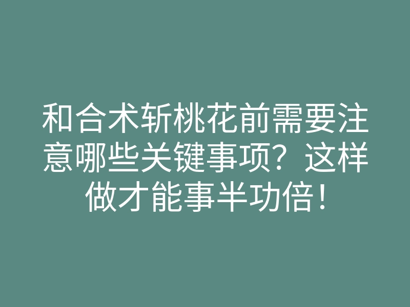 和合术斩桃花前需要注意哪些关键事项?这样做才能事半功倍!